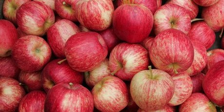 纠缠不清:澳洲对新西兰苹果的进口禁令再起波